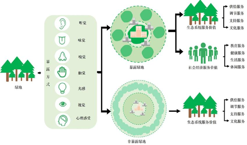 生态环境保护加强，生态系统恢复进程加快